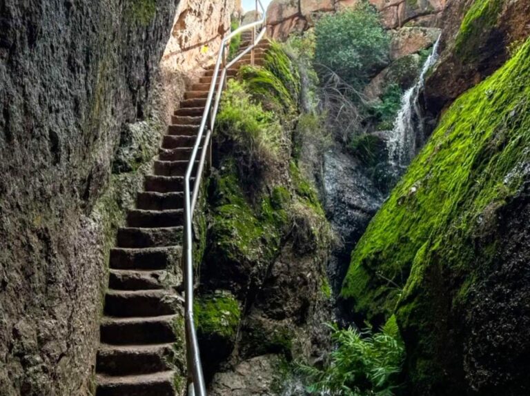 comprarcartasimt|Exploring the Pinnacles on a Guided Walking Tour