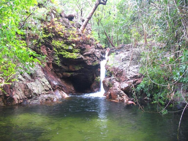 comprarcartasimt|Visit the Gubara Pools: Swimming Holes in Kakadu