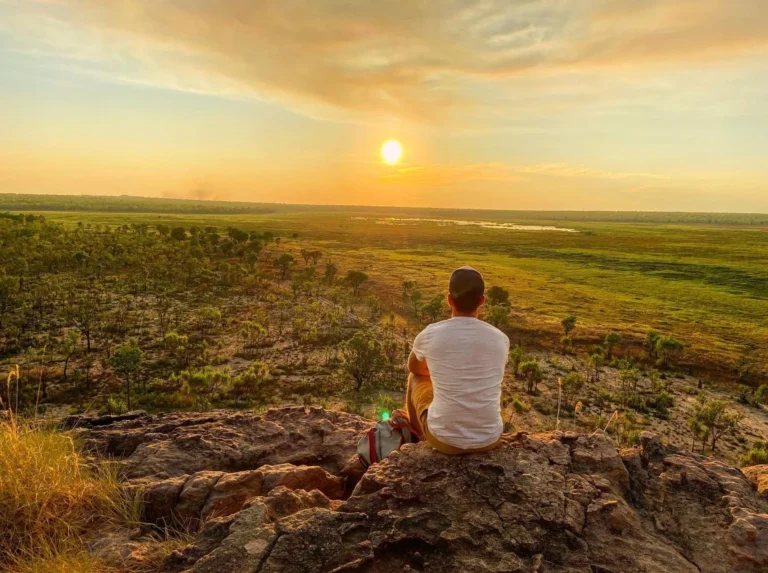 comprarcartasimt|Can You Do Kakadu on Your Own?